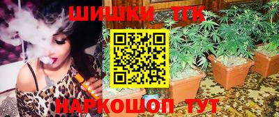 jwh Гатчина