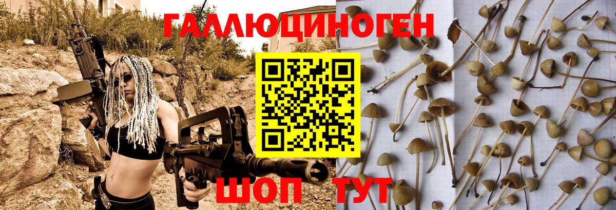 Галлюциногенные грибы прущие грибы Лангепас